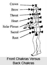 Development of the Chakras