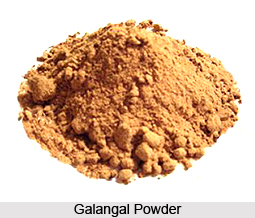 Galangal