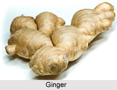 Ayurvedic Spices