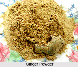 Ginger