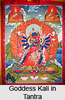Tantra Literature