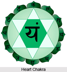 A meditative exercise on the seven hearts  , Chakra System