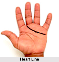 Lines of Hand, Palmistry