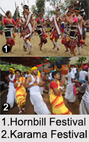 Indian Tribal Culture, Indian Tribals