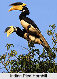 West Bengal Eco Parks, Eco Parks in India