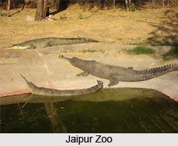 Zoos of Northern India