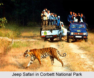 Zoological Survey of India