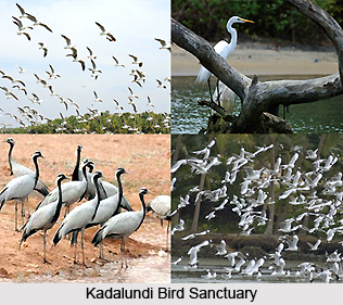 Tourism in Malappuram, Kerala