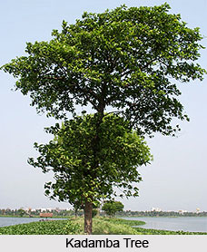 Madurai District, Tamil Nadu