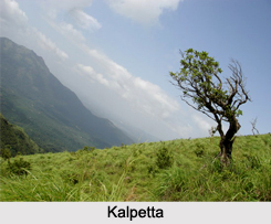 Wayanad district ,  Kerala