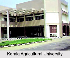 Universities of Kerala, Indian Universities