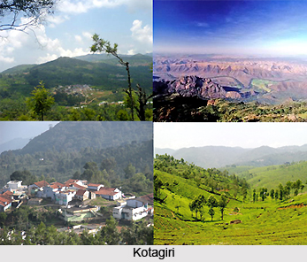 Tourism in Nilgiris District