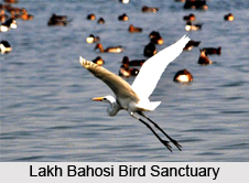 Kanyakubja, Uttar Pradesh