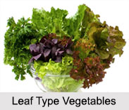 Indian Vegetables