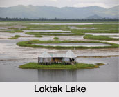 Indian Wetlands