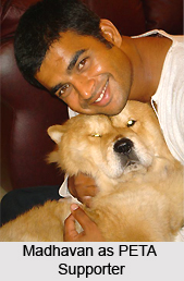 Madhavan, Indian Movie Actor