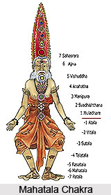 Patala  Chakras