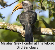 Wildlife Sanctuaries of Kerala