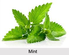 Indian Herbs