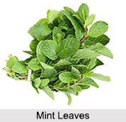Leaf Type Spices, Indian Spices