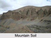 Indian Soil