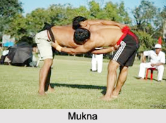 Traditional Sports in North India