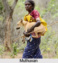 People and culture of Idukki, Kerala