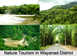 Tourism in Wayanad District