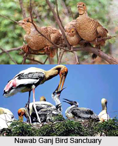Unnao District, Uttar Pradesh