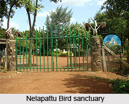 Leisure Tourism In Nellore District, Andhra Pradesh