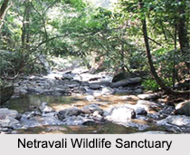 Wildlife Sanctuaries of Goa