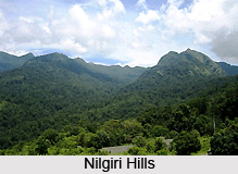 Physiography of Southern Regions