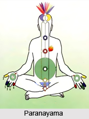 Role of Yoga Asana in Daily Life