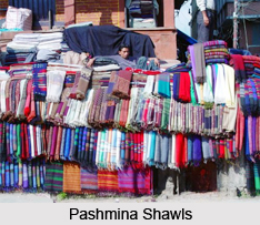 Pashmina Wool, Indian Clothing