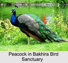 Uttar Pradesh Eco Parks
