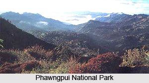 Tourism in Mizoram