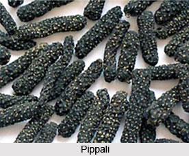 Food in Ancient India