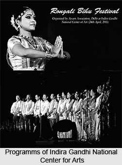 Indira Gandhi National Center for Arts, Indian Arts Institution