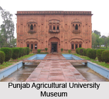 Ludhiana , Punjab