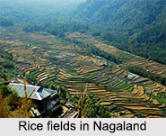 Hill Stations of North East India