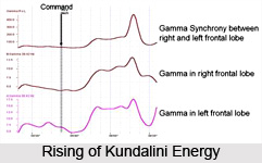 Chakra Flows