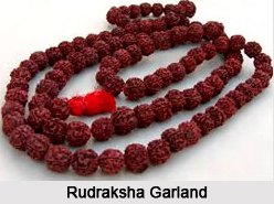 Rudraksha, Astrology