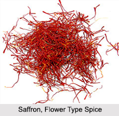 Types of Spices, Indian Food