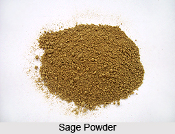 Sage, Indian Spice