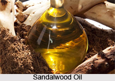 Aromatherapy Oils Made of Trees and Grass