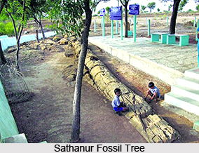 Perambalur District