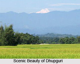 Dhupguri, Jalpaiguri, West Bengal