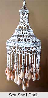 Shell Craft