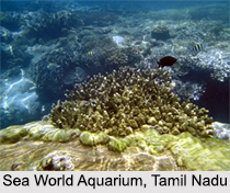 Aquaria in India