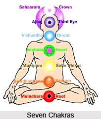 Seven Hearts , Chakra System